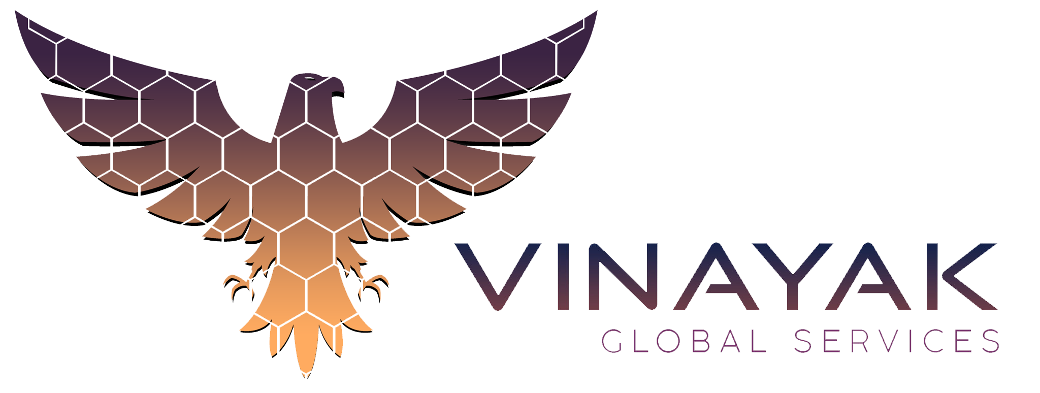 Vinayak Global Services